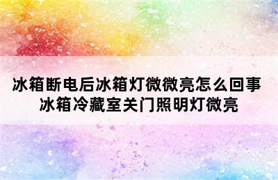 冰箱断电后冰箱灯微微亮怎么回事 冰箱冷藏室关门照明灯微亮